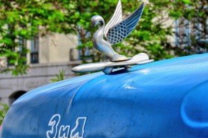 疫情动态郑州最新消息/疫情动态郑州