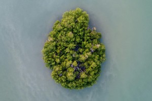 轻松掌握.“吉祥麻将要怎么开挂”(确实真的有挂)