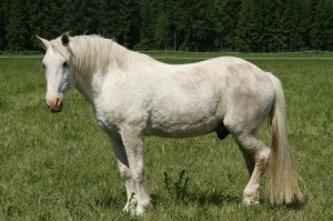 [分析]“新518互游牛牛有没有挂”(确实真的有挂)