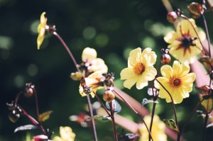 甘肃兰州疫情新情况最新消息:甘肃兰州疫情新情况最新消息通知