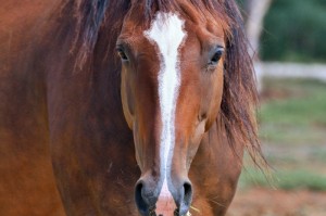 【甘肃疫情最新报道实时/甘肃疫情最新报道实时动态】