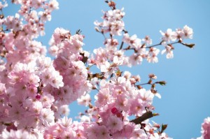 [分享]“推筒子真的有挂吗”开挂详细教程