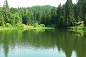 贵州最新疫情防控规定，科学精准防控，守护黔山贵水安宁