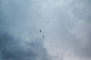 淄博的疫情怎么样了:淄博的疫情怎么样了最新消息