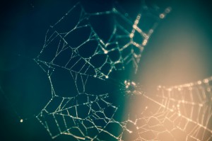 重大通报.“巴郎新疆麻将是不是有挂”分享装挂步骤技巧