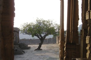 疫情实时动态死亡:疫情实时动态死亡病例