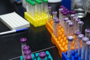 今日重大通报“天天摸麻将开挂神器”［果然有透视挂］