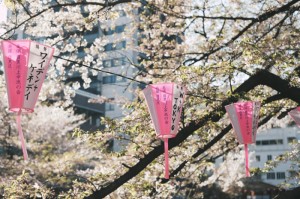 重大消息“樱花众娱有挂没”必赢神器安装