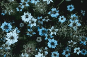 [分享]“花花生活圈真的有挂吗”原来可以开挂