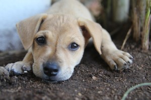 ［独家］“挖坑青海麻将怎么装挂”［外卦神器下载］