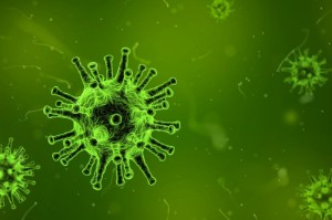 重大通报“莆仙吹牛透视辅助工具”(确实有挂)