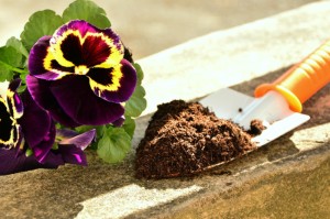 轻松掌握.“顺兴茶楼有没有挂吗”(确实真的有挂)