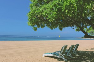 推荐一款“新老夫子透视挂下载”(确实有挂)-知乎