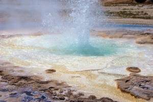 重大通报“皇豪互娱牛牛能不能开透视挂”(确实真有挂)-知乎