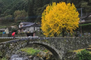 推荐一款“秀山博胡竟然有挂”(真的有挂)