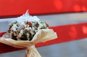 ［攻略科普］“新贝壳炸/金/花怎么开挂”［果然有透视挂］