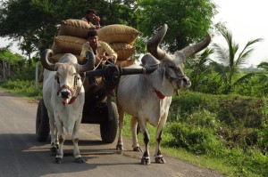 [分析]“迅奇牛牛有没有挂”原来可以开挂