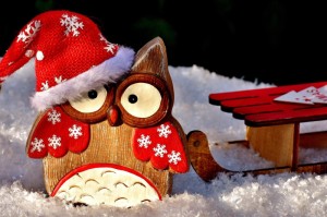 我来教教您“新蓝鲸拼三张怎么装挂”［原来真的有挂］