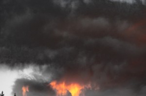 疫情是哪年爆发的啊图片/疫情是哪年爆发的啊图片大全