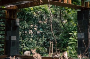 [解答]“微友江西麻将怎么开挂”原来可以开挂