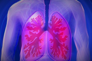 实测分享“新518互游牛牛透视辅助器”(原来真有挂)-知乎