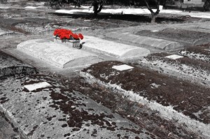 【疫情那一年爆发的?疫情那一年爆发的】