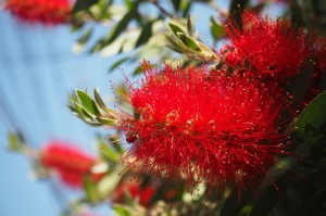 ［今日要闻］“炫龙炸/金/花可以开挂吗”［详细开挂教程］