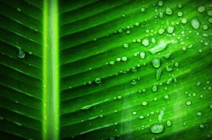 终于出现"“雨碟有挂吗？”详细教程