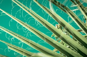 实测分享“新皇豪互娱斗牛究竟有透视挂吗”(原来有挂)