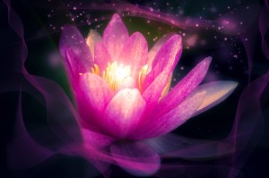 最新消息.“衡阳十胡卡其实是有挂的”[开挂辅助教程]