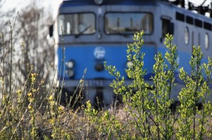 ［玩家实测科技］“道游牛牛到底有挂吗”［详细开挂教程］