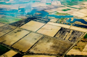 疫情开始于哪年哪月哪日开始/疫情开始于哪年哪月哪日开始爆发