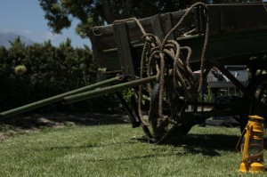 知识科普“农场假日竟然有挂”确实有挂