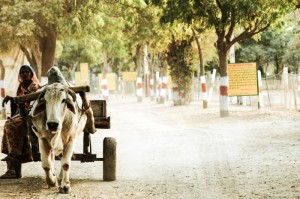 实测分享“玄灵大厅其实真有透视挂的”附开挂脚本详细步骤
