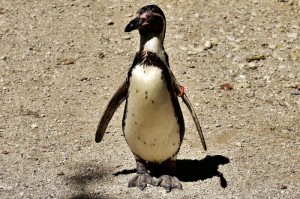 总结文章“聚友互娱有没有挂”玩家曝光开挂流程