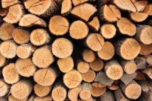 ［今日要闻］“天天摸麻将有挂吗”［透视曝光猫腻］