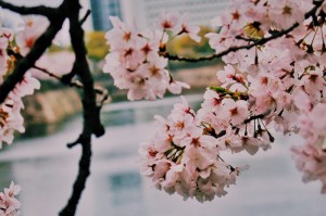 推荐一款“新皇豪互娱透视挂辅助安装”开挂步骤方法