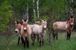 轻松掌握.“烽火在线怎么开挂”(详细教程辅助工具)